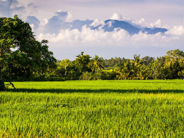 Seseh Beach Villas - Refresh your soul with mountain views